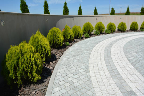 Best Driveway Paving Near Me  in Cedar Crest, MA